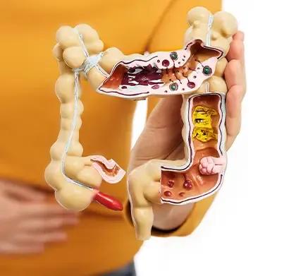 https://vedakare-assets.s3.ap-south-1.amazonaws.com/Treatment/ibs-irritable-bowel-syndrome.webp